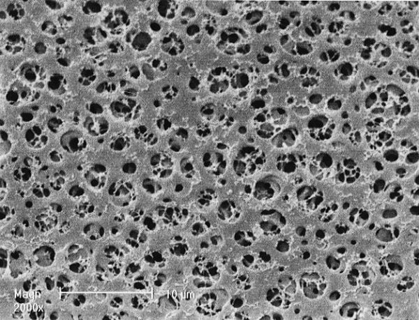 Acetat celulozy membranovy filtr 01